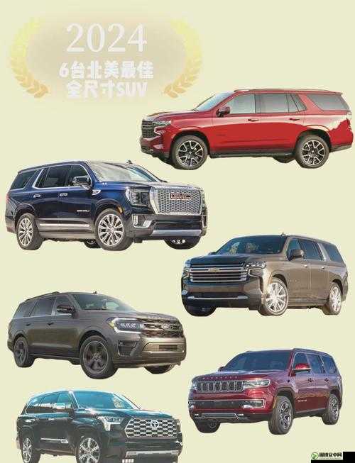 欧洲尺码 SUV：独特魅力引领时尚出行潮流